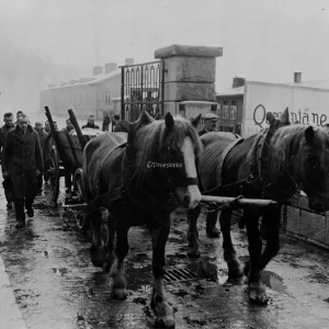 Uitvaartstoet verlaat concentratiekamp Flossenbürg, Duitsland, waar wekelijks honderden Franse, Joodse, Russische en Slavische dwangarbeiders stierven. Het kamp werd ontdekt door de 97ste Infanteriedivisie van het Amerikaanse 3de Leger.