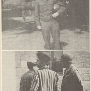 Dit is de Nederlandse beschrijving