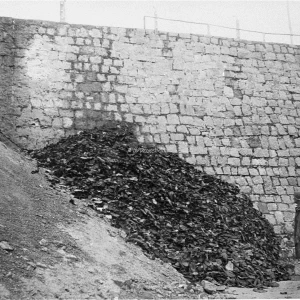 Toen troepen van de 90ste Infanteriedivisie van het Amerikaanse 3de Leger Floss in Duitsland innamen, op tien kilometer van de Tsjecho-Slowaakse grens, hield opnieuw een nazi-concentratiekamp op te bestaan. Het kamp, afgezet met elektrisch prikkeldraad, telde 16.000 zieke en uitgehongerde gevangenen, waaronder 400 gevallen van tyfus. Oorspronkelijk hield het complex 60.000 politieke gevangenen en krijgsgevangenen van alle nationaliteiten gevangen. Men schatte dat er maandelijks 1.400 mensen stierven door uithongering, waarna hun stoffelijke overschotten door nazi-bewakers werden verbrand. Voordat de Duitsers naar achterliggende gebieden vluchtten, voerden zij alle gevangenen weg die nog konden lopen. Deze foto's zijn genomen op 24 april 1945, na de intocht van de Amerikaanse strijdkrachten in de stad.