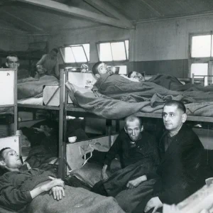 Dit is de Nederlandse beschrijving