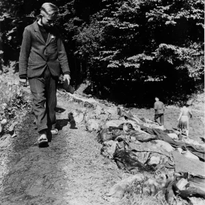 Dit is de Nederlandse beschrijving