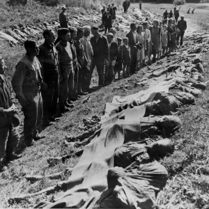 Dit is de Nederlandse beschrijving