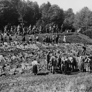 Dit is de Nederlandse beschrijving