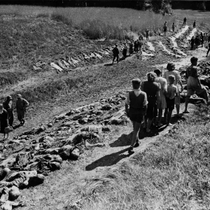 Dit is de Nederlandse beschrijving