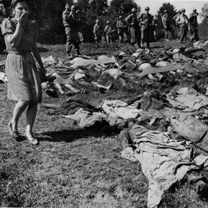 Dit is de Nederlandse beschrijving