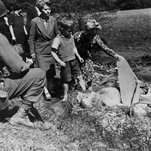 Dit is de Nederlandse beschrijving