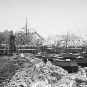 Dit is de Nederlandse beschrijving