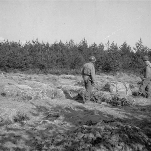 Dit is de Nederlandse beschrijving