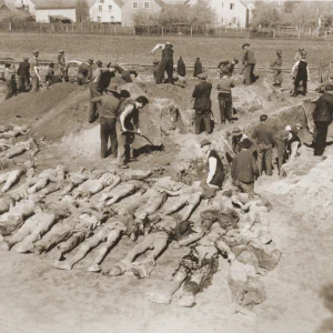 Dit is de Nederlandse beschrijving