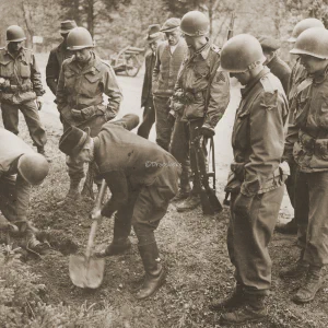 Dit is de Nederlandse beschrijving