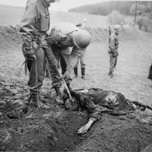 Dit is de Nederlandse beschrijving