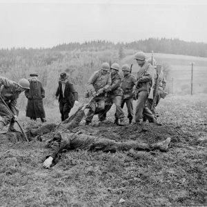 Dit is de Nederlandse beschrijving