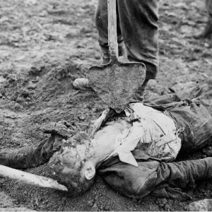 Dit is de Nederlandse beschrijving