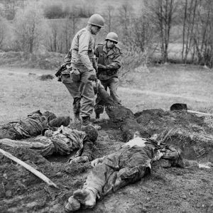 Dit is de Nederlandse beschrijving