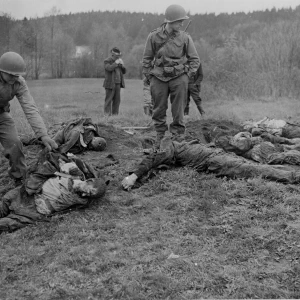 Dit is de Nederlandse beschrijving