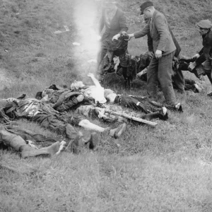 Dit is de Nederlandse beschrijving