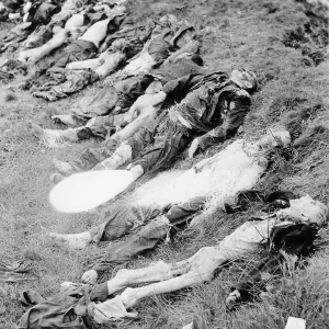 Dit is de Nederlandse beschrijving