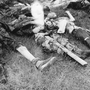 Dit is de Nederlandse beschrijving