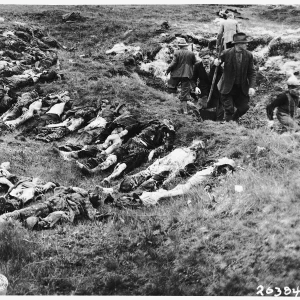 Dit is de Nederlandse beschrijving