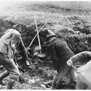 Dit is de Nederlandse beschrijving