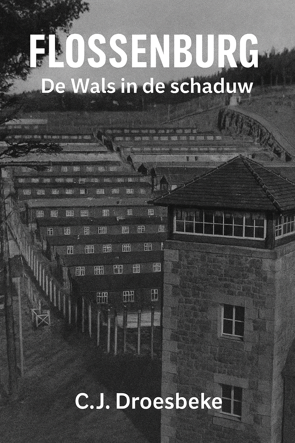 De Wals in de Schaduw