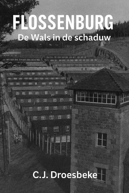 De Wals in de Schaduw